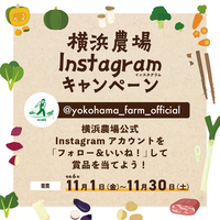 横浜農場Instagramキャンペーン